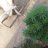 Souly209