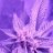 Jimbohigh420