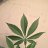 CannaMagi