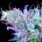 HappyJack420