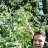 Gentleman420