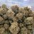 KINGS420