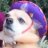 JoseTheDog
