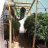 1stGHgrow