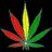 Buddy Haze
