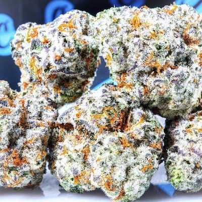Coco Pebblez Seeds