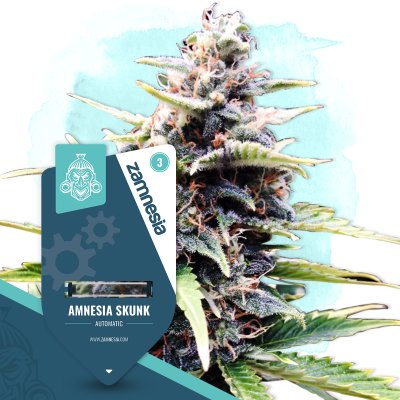 Amnesia Skunk Automatic