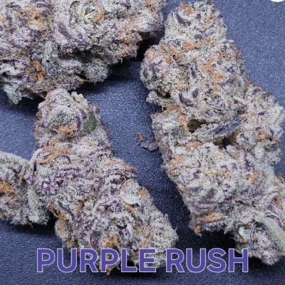 Purple Rush Feminized Seeds