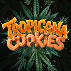 Tropicana Cookies Auto Seeds