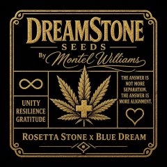 DreamStone By Montel Feminized Seeds
