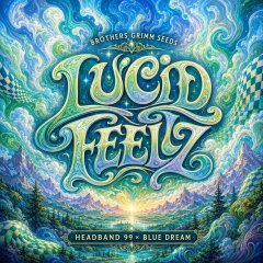 Lucid Feelz Feminized Seeds