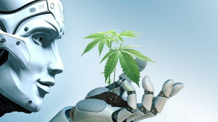 Cannabis & Artificial Intelligence: The Arrival of Robopot?
