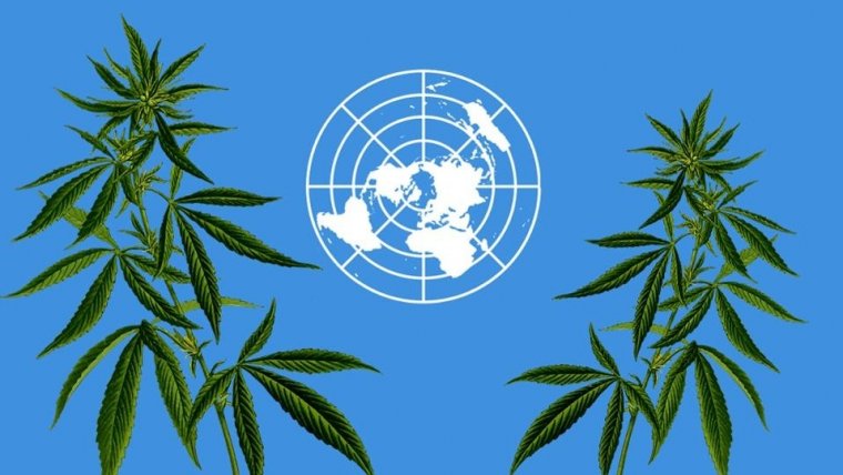 United Nations To Meet This Month To Discuss WHO Cannabis Recommendations