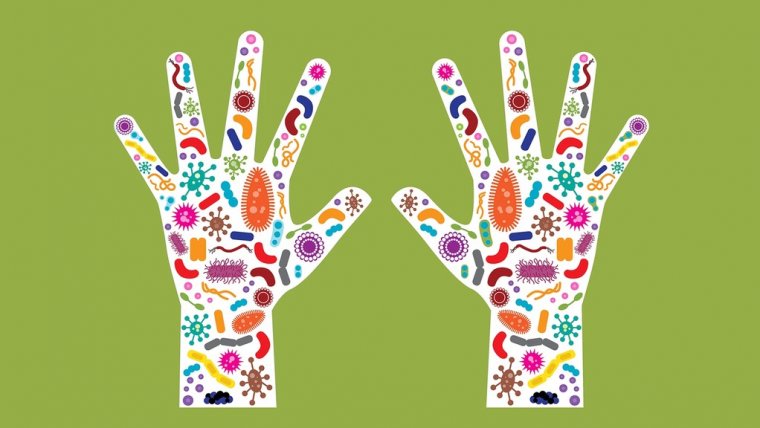 Probiotics And Cannabis: Whats Up With That?