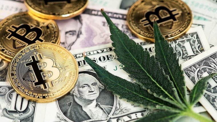 Cannabis Bitcoin Company To Face Class Action Lawsuit