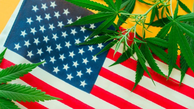 The United States of Cannabis