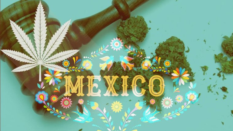 Mexico's Senate Approves Sweeping Cannabis Legalization Bill