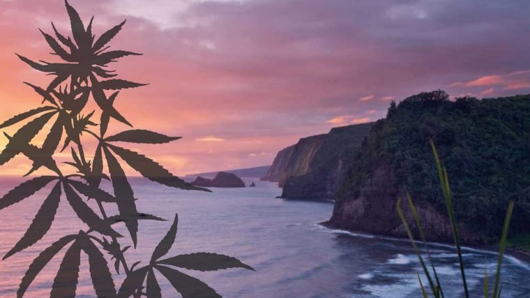 Hawaii Just Launched a New Medical Marijuana Program for Visitors