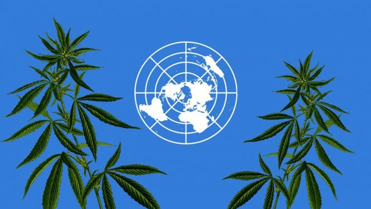 United Nations Approves WHO Recommendation To Reschedule Cannabis In Historic Vote