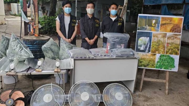 Hong Kong Police Bust Largest Indoor Cannabis Farm In A Decade
