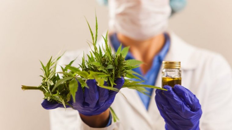 Will European Medical Cannabis Shift From Flowers To Oils?