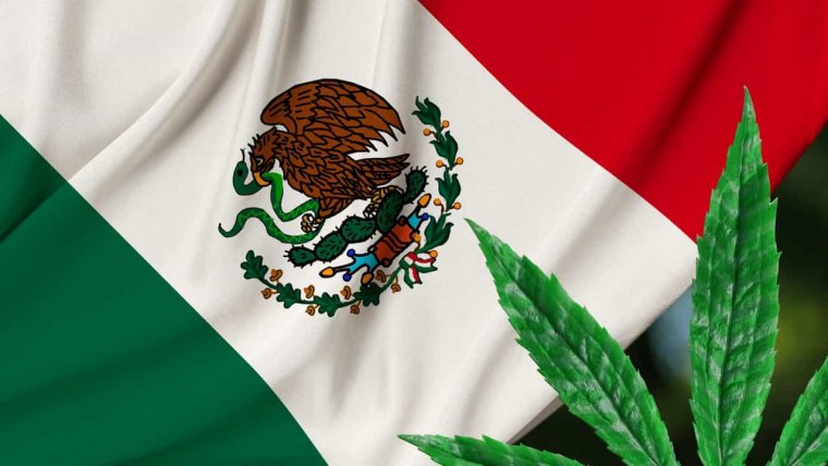 Mexico’s Adult Use Cannabis Market Is Facing More Hold Ups
