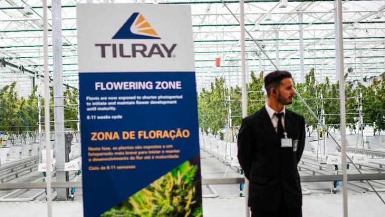 Tilray Drops $4 Billion Sales Target Amidst Cannabis Industry Turmoil