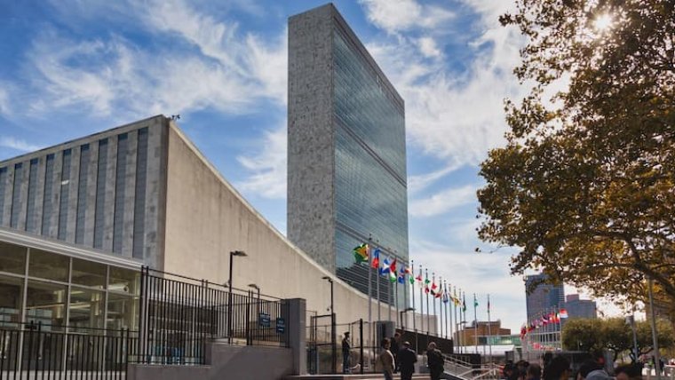 The UN's Bold Stand: Urging Nations to Halt the Cannabis Legalization Wave