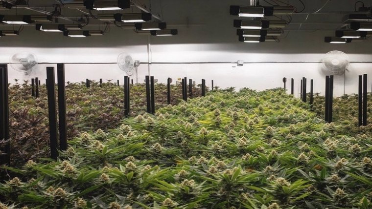 Virginia House Approves Marijuana Decriminalization Bill