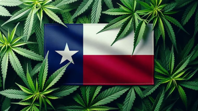 Dallas to Vote on Marijuana Decriminalization in November