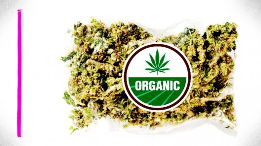 A Certified Organic Labeling Program Is Coming To Cannabis In 2020