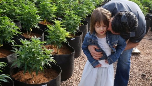 Charlotte Figi, Who Inspired Nationwide Medical Marijuana Reform, Dies at 13
