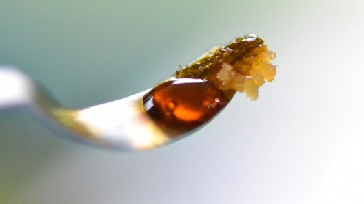 A Deep Look at the Science Behind Concentrates