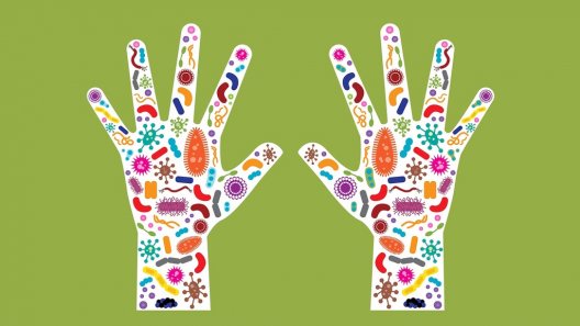 Probiotics And Cannabis: Whats Up With That?