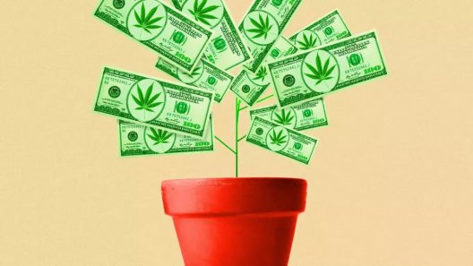 The Cost Of Cash For Unbanked Cannabis Businesses