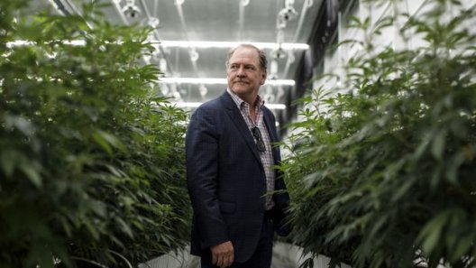 Aurora Cannabis Cuts 500 Jobs as CEO Terry Booth Steps Down