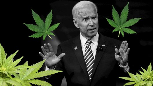 What A Biden Administration Means For The Cannabis Industry