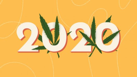 The Cannabis Industry's Biggest Wins of 2020