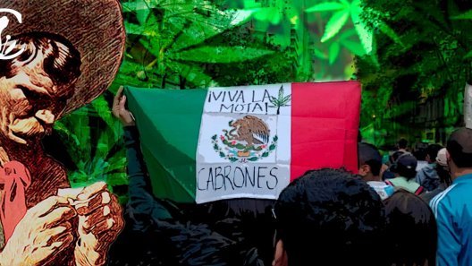 Mexico Publishes Medicinal Cannabis Regulation