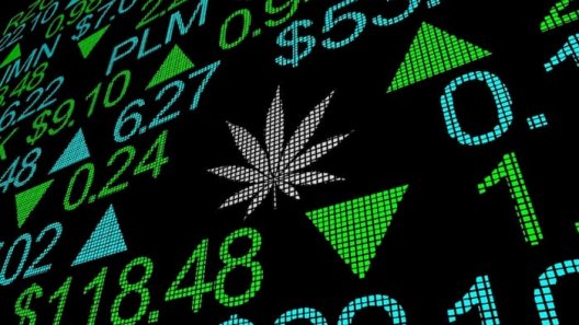 Which Major Brand Will Be the Next to Invest in Cannabis?