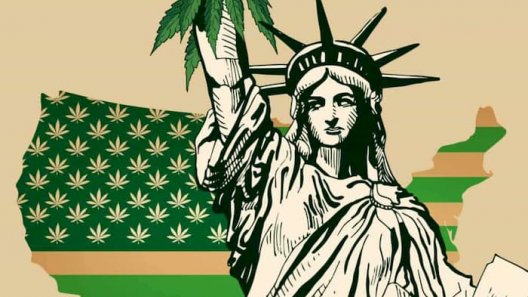 New York Moves to Legalize Cannabis