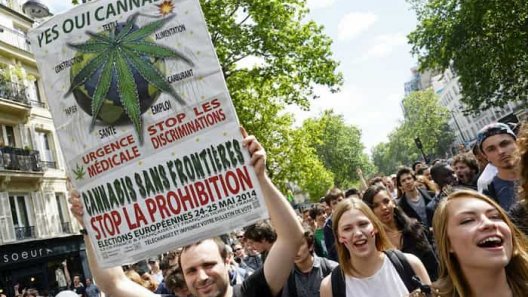 Is France Moving Towards A Legalization Of Cannabis?