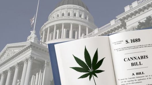 Congressman Files First Federal Marijuana Reform Bill Of 2021