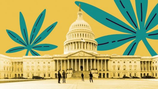 Cannabis Regulatory Update: Kansas, Virginia, New Mexico