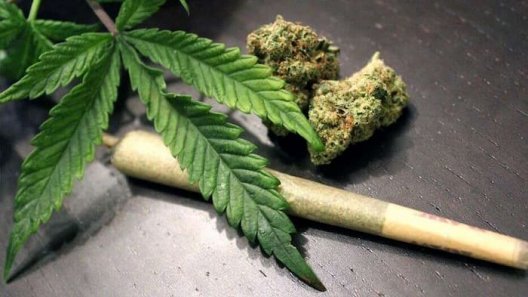 New York Legalizes Recreational Marijuana