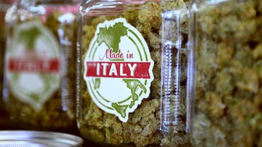 The Medical Cannabis Market Grew 30% In Italy In 2020