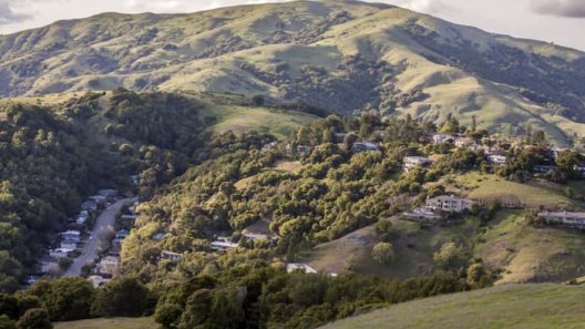 Marin County’s Weed History Deserves a Present