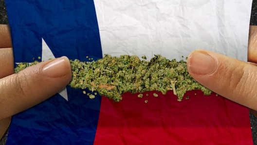 Texas Senate Approves Psychedelics And Marijuana Concentrates Bills
