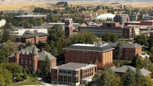 Cannabis Research Center Established at Washington State University