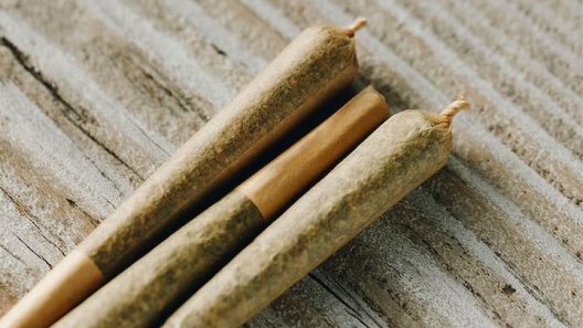 Pre-Rolls: The Next Big Trend in Cannabis Smoking